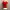 Atasan Wanita Press Body Warna Merah photo 1
