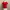 Atasan Wanita Press Body Warna Merah