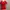 Atasan Wanita Press Body Warna Merah photo 2
