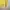 Japanese brand Casual Sweater Pria yellow photo 3