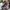Decathlon Quechua Children's Snow Boots Shoes 