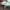 Fila Leather Triple White photo 5