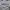 thisisneverthat Streetwear Sweatshirt Pria gray photo 2