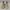 Adidas Ultraboost Laceless slip on white photo 3