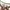 Avirex Vintage Casual T-shirt Pria white green photo 4