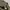 Longsleeve carhartt spellout olive green photo 5