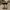 Timberland Boots  photo 4