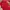 classic snapback mona red cars by KC photo 4