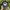 Genuine Dickies Workwear Cap photo 5