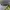 Genuine Dickies Workwear Cap photo 4