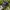 2017 National Jamboree Denver Area Rope Hat photo 2