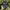 2017 National Jamboree Denver Area Rope Hat photo 1