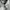 Lily dress sori sogo photo 1