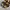 BIRKENSTOCK SANDAL photo 2