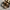 BIRKENSTOCK SANDAL