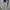 Kemeja boxy Stenley Adam Green skena kalcer shirt photo 2