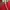 Vest rompi winter wool anak the North Face merah keren photo 1
