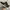NIKE AIR MAX TRAVAS photo 4
