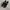 NIKE AIR MAX TRAVAS photo 1
