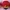 Topi New Era The Whole World Red 9FIFTY Snapback Medium-Larg