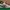 NEW BALANCE 530 RD photo 2