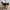 ADIDAS ULTRABOOST 19 photo 4