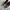 ADIDAS ULTRABOOST 19 photo 2