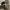 Nike Air Jordan 1 Low GS photo 3