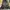 Kolon sport hiking backpack photo 4