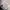Adidas Gorpcore Indie Sneakers Pria white green photo 6