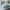 Adidas Gorpcore Indie Sneakers Pria white green photo 2