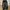 Vintage South Pole Baggy Pants  photo 1