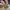 Chanel Auth Paris Biarritz Tote GM Bag Beige Golden Bronze photo 3