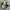 Converse CT 70s | Essentials FOG photo 1