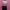 Oneset photo 1