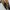 Sepatu Dr Martens 1460 Yellow England boots photo 7