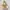 Prada Vintage Y2K Shoulder Bag Wanita Tan Cream