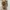 Prada Vintage Y2K Shoulder bag Wanita tan cream photo 2