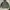 Outstanding half zip anorak cagoule jacket military camo photo 1