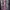Kaos film Blair Witch Boot photo 2
