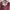 Maroon Crop Top photo 2