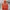 K-Way Gorpcore Sportswear Windbreaker Pria Orange