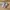 Asics Gel-Nimbus 27 photo 5