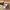 Asics Gel-Nimbus 27 photo 7