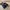 Oncloud Monster 2 photo 7
