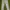 Y2K Minimalist Skinny jeans Wanita white photo 4