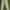 Y2K Minimalist Skinny jeans Wanita white photo 3