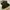 Tanktop Velvet Lace Green Rare Fairycore Coquette Y2k Cute