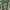 top fullprint lace ruffle green fairy farm cute vintage rare photo 3