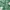 Milkmaid Green Lace Fairycore Cottagecore Vintage Y2k
